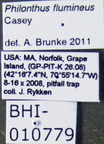 Media type: image;   Entomology 601698 Aspect: labels